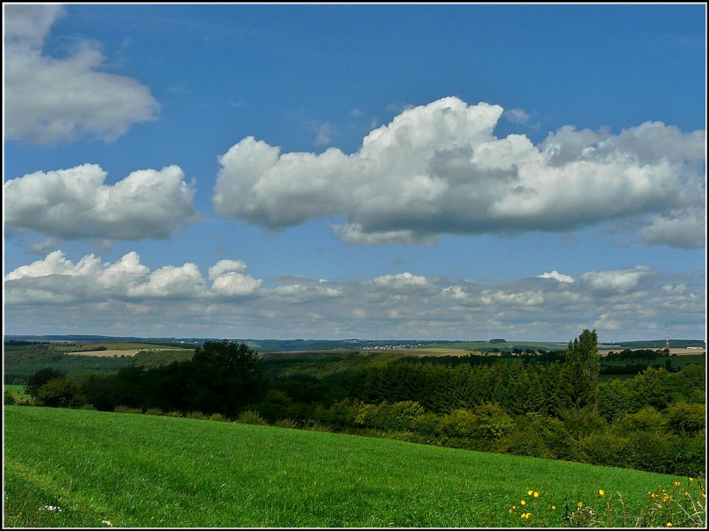 Blick ber die  islecker Koppen  in Hosingen am 13.08.2010. (Jeanny)