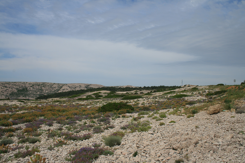 Blick ber die leicht hgelige Landschaft der Insel Rab. 30.05.2010.