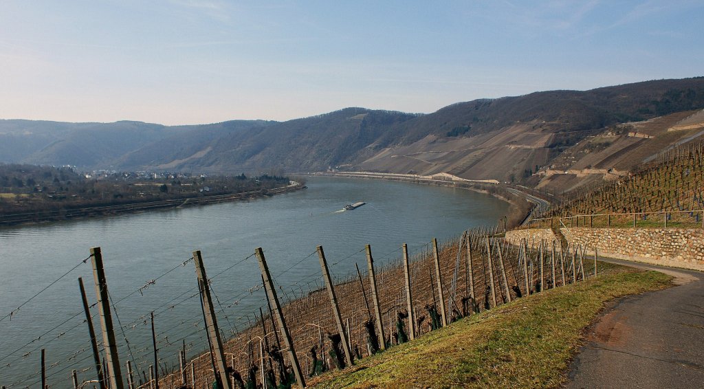 Blick ber den Rhein und die Weinberge bei Boppart.
(18.03.2010)