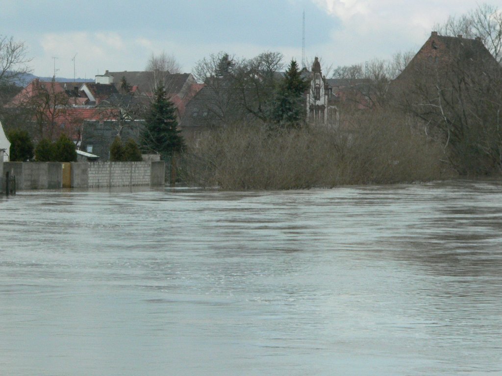 Blick ber die Unstrut bei Laucha - Land unter in den Grten am Fluss - 02.03.2010
