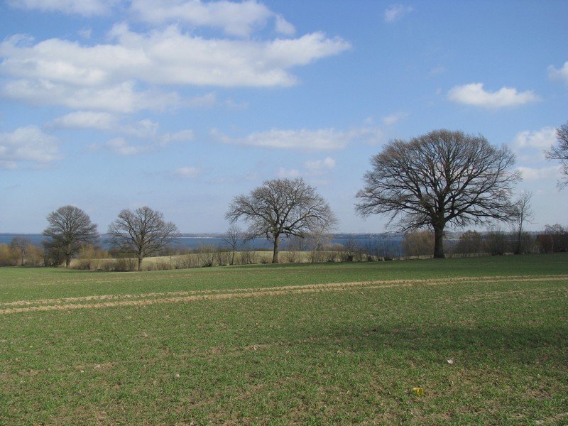 Blick ber die Wohlenberger Wiek auf der Hhe von Oberhof an der Strae Christinenfeld - Wohlenberg, 23.03.2010