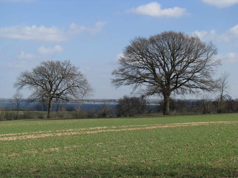 Blick ber die Wohlenberger Wiek auf der Hhe von Oberhof an der Strae Christinenfeld - Wohlenberg, 23.03.2010