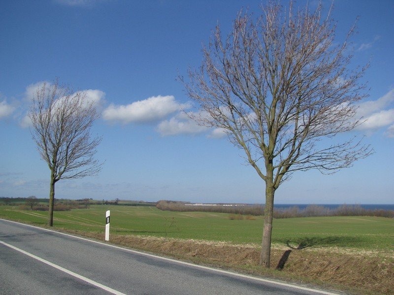 Blick ber die Wohlenberger Wiek von der Hhe bei Oberhof an der Strae Christinenfeld - Wohlenberg zur Weien Wiek, 23.03.2010