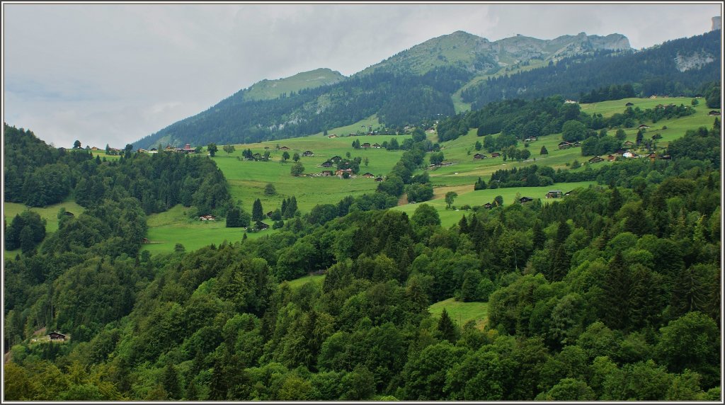 Blick von unserem Wanderweg von Le Sepey nach Exergillod auf die Waadtlnder Alpen,darunter La Berneuse(2040m..M)in der Bildmitte.
(05.08.2011) 