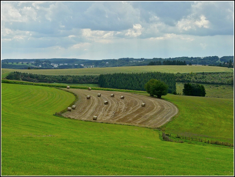 Blick von Urspelt nach Eselborn am 13.08.2010. (Jeanny)