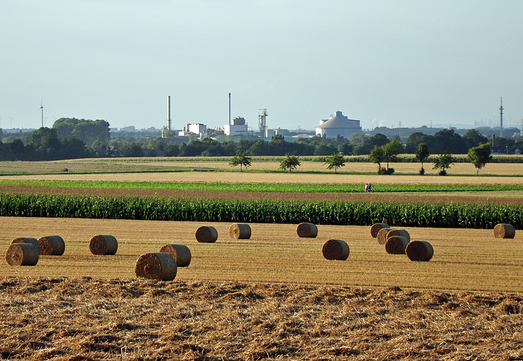 Blick von der Voreifel ber abgeernete Felder bis zur Zuckerfabrik in Euskirchen - 16.08.2012