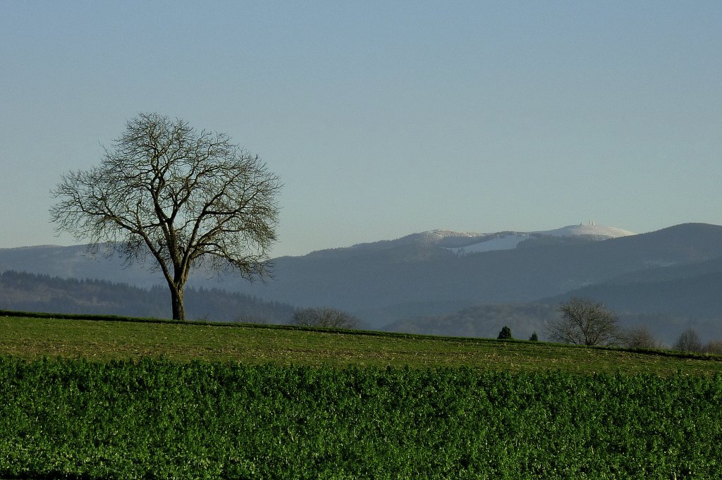 Blick zum 1493m hohen Feldberg im Schwarzwald vom Marchhgel in der Rheinebene, Jan.2012