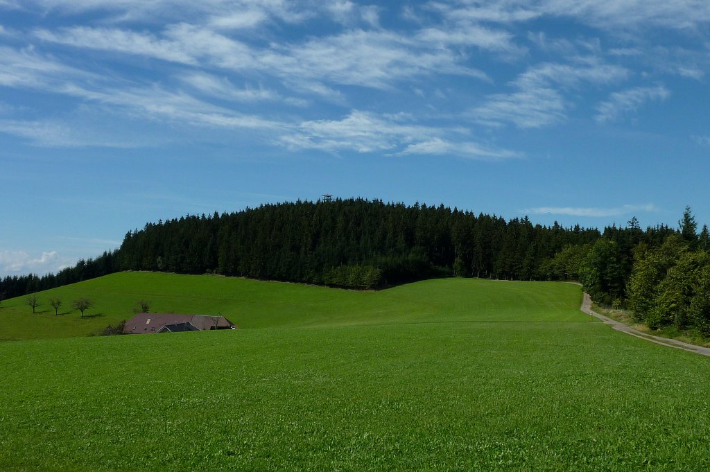 Blick zum 744m hohen Hnersedel im mittleren Schwarzwald, mit der Spitze des 29m hohen Aussichsturmes, Sept.2011