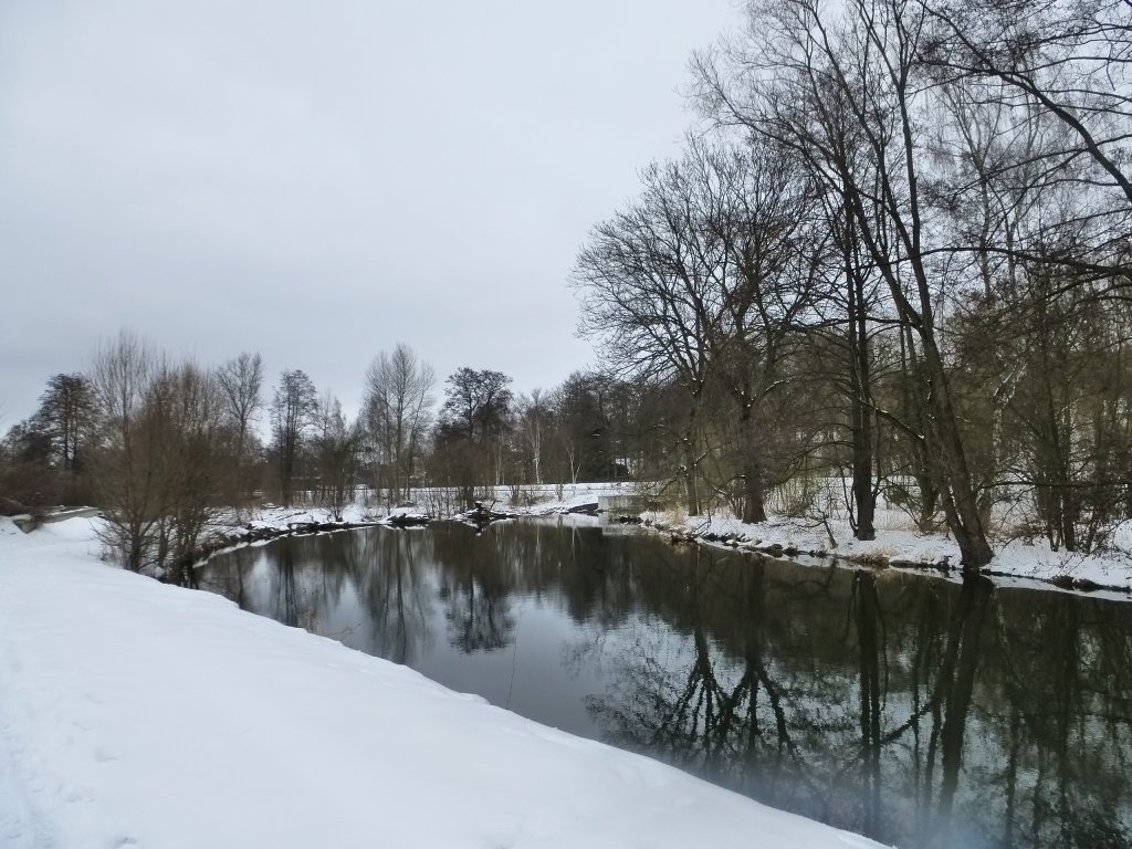 Blick zur schsischen Saale in Oberkotzau. Im Hintergrund sind Bahnschienen zu erkennen.
Aufgenommen am 03.03.13.

Die Schsische Saale entspringt, einem alten Bergwerksstollen. An der aus rohen Granitblcken geschichteten Mauer befindet sich eine Syenitplatte mit der Inschrift: „Quelle der Saale, gefasst von den Stdten Mnchberg, Schwarzenbach, Hof, Weienfels, Halle 1869 . Die Initiative zur ersten Quellfassung ging damals von der Stadt Mnchberg aus, die in der Platte erwhnten Stdte beteiligten sich an den Kosten. Das gesamte Areal ist ein geschtztes Naturdenkmal. Die Quelle ist Ausgangsort des 427 km langen „Radwanderweg Saale .

Quelle:  Das Fichtelgebirge 
