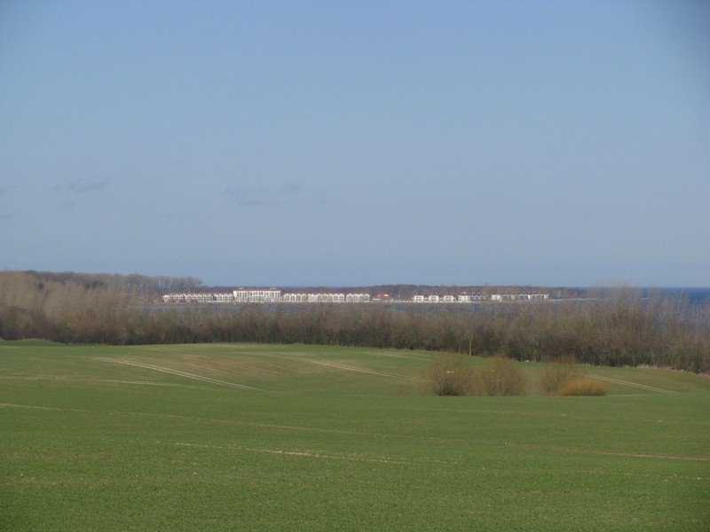 Blick zur Weien Wiek von der Strae Christinenfeld nach Wohlenberg (Ostsee) im Landkreis Nordwestmecklenburg, 23.03.2010