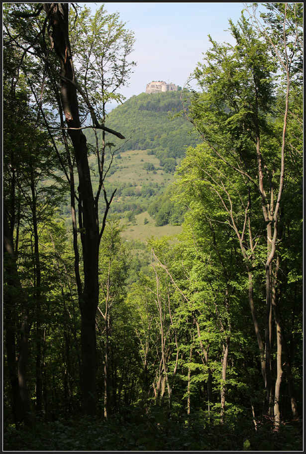 Blickschneise - 

Durchblick zur Burg Hohenneuffen am Trauf der Schwäbischen Alb, 

17.05.2012 (M)