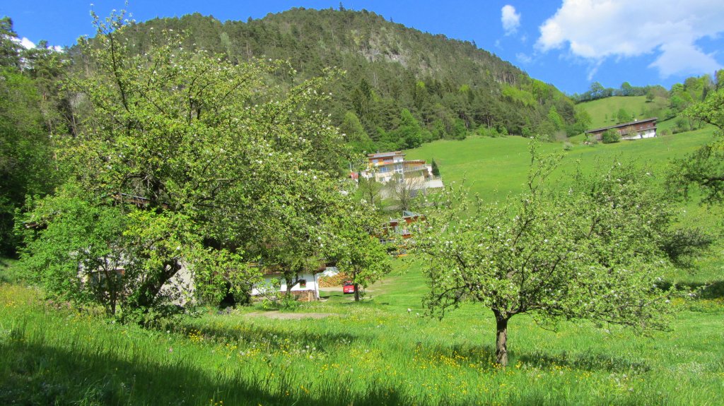 Blhendes, frhlingshaftes Obstfeld am 4.5.2012 bei Brixlegg.