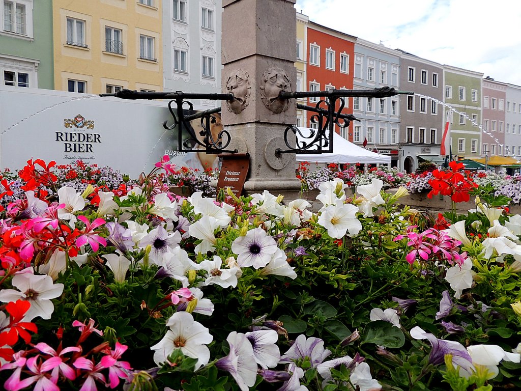 Bltenpracht am Dietmar-Brunnen in Ried; 120721