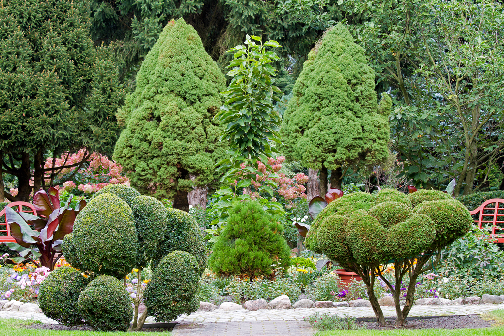 Botanischen Garten Christiansberg mit seinen schnen Anpflanzungen. - Sep. 2012