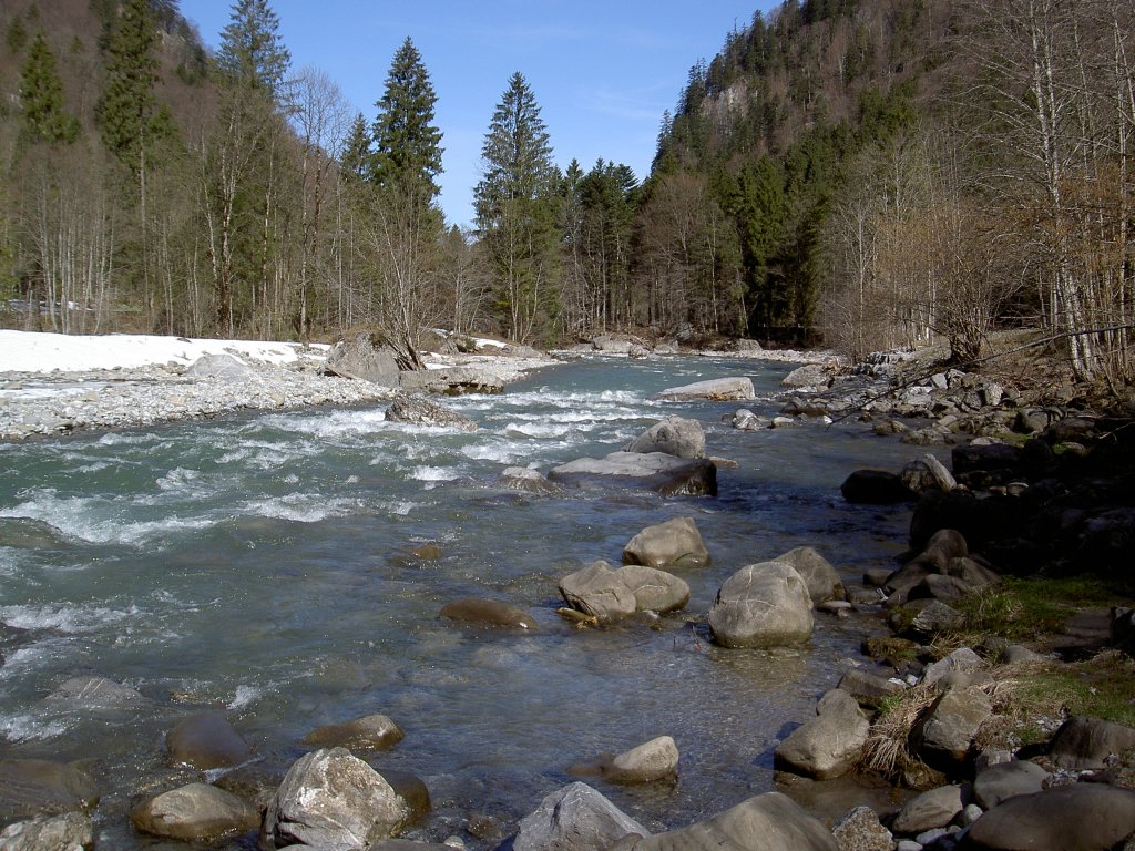 Bregenzer Ache bei Au im Bregenzer Wald (14.04.2013)