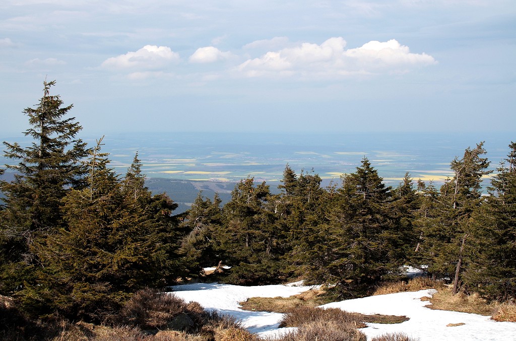 Brockenlandschaft aus Sonne und Wolken: Brockenurwald und Harzvorland im Sonnenschein; Blick am Nachmittag des 27.04.2012 vom Gipfelrundweg auf dem Brocken Richtung Norden ber das Harzvorland, ber das Sonnenlichtflecken und Wolkenschatten wandern und dessen Rapsfelder gelb leuchten.