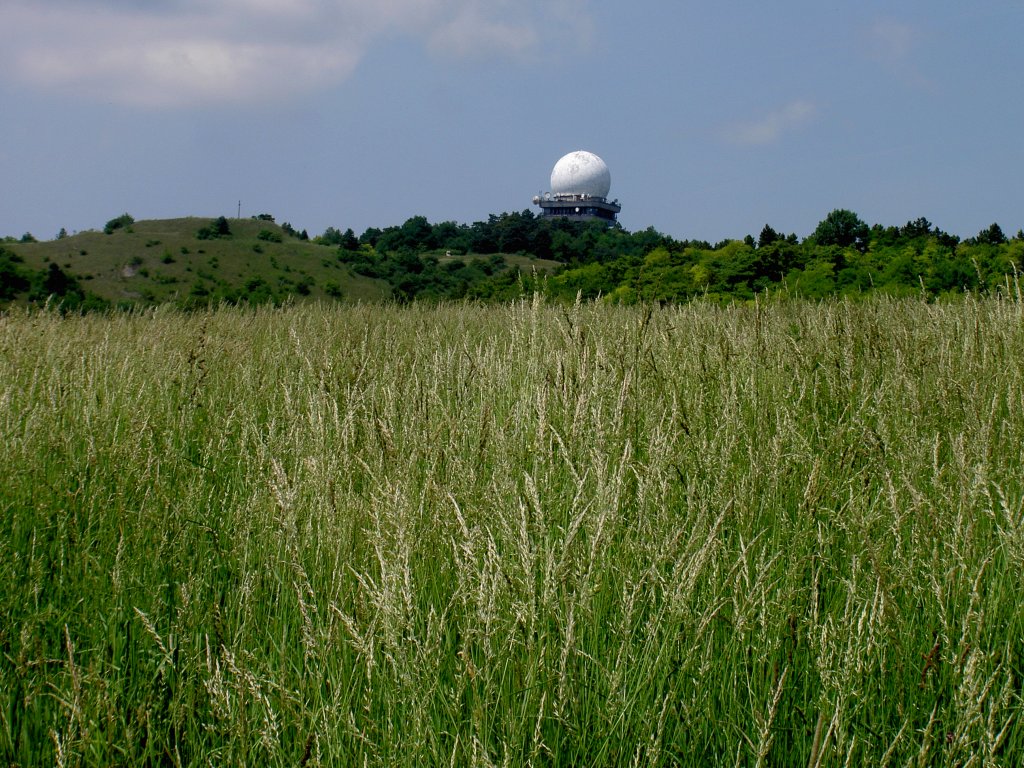 Buschberg bei Michelstetten, Niedersterreich (04.06.2011)