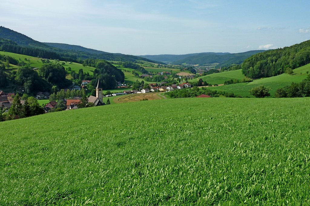 das Schuttertal im mittleren Schwarzwald, Juli 2012