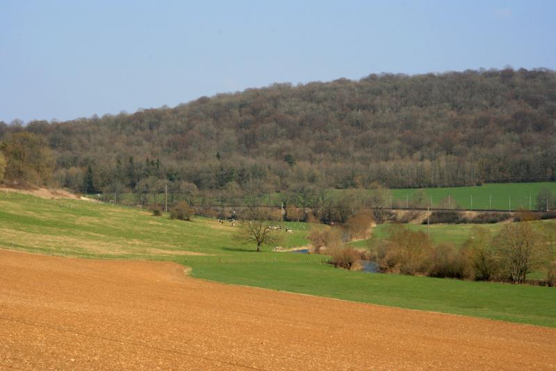 Das Val di Meuse in der Champagne; 25.03.2012