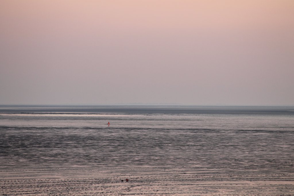das Wattenmeer bei Norddeich im Juli 2012