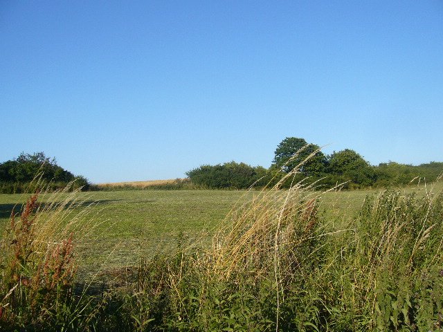 Das wunderschne Mecklenburg-Vorpommern im Sommer 2009.