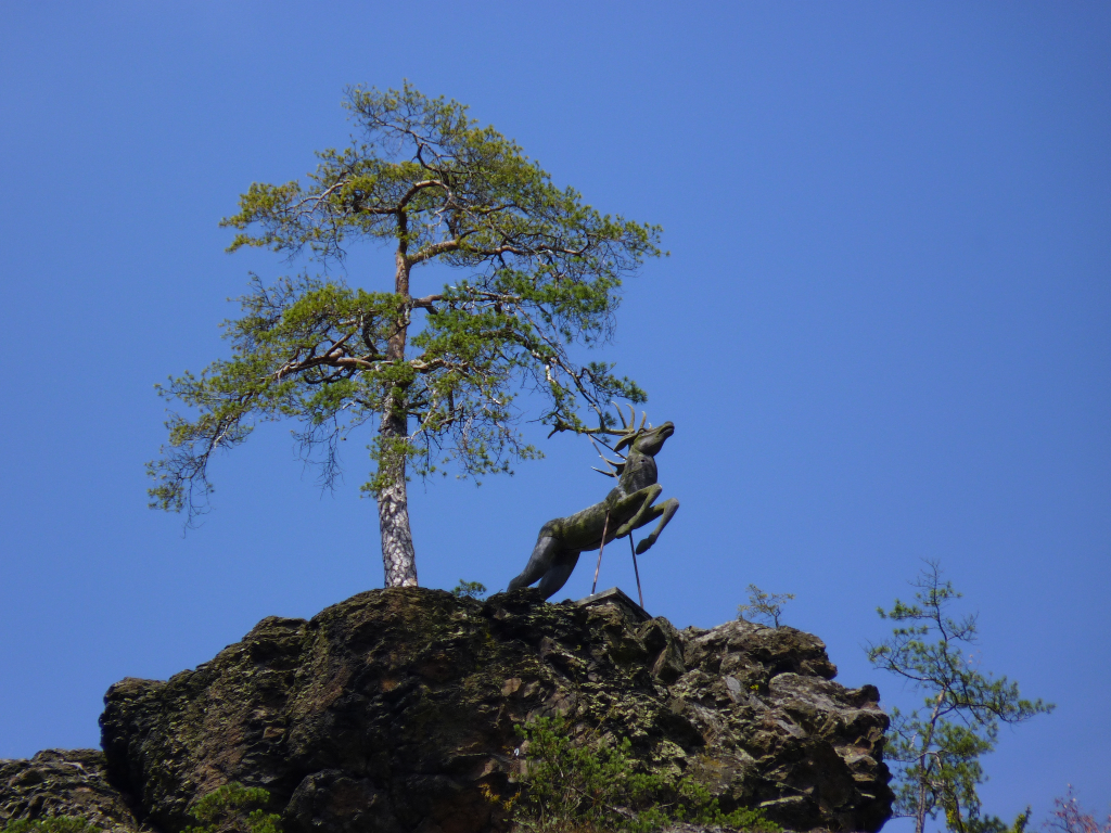 Den Hirschsprung gibt es nicht nur im Schwarzwald im Hllental sondern auch im  frnkischen  Hllental. Das Hllental in Oberfranken erstreckt sich vom Ort Hlle bis nach Blechschmidtenhammer (Lichtenberg) im Tal der Selbitz.
 
Das eigentliche Wahrzeichen des Hllentals ist der Hirschsprung, die aus Holz geschnitzte Darstellung eines springenden Hirschen. Die lebensgroe Skulptur befindet sich auf einem Felsvorsprung 80 Meter ber der Talsohle.

Durch das Tal fuhr einst die  frnkische Hllentalbahn  von Marxgrn nach Blankenstein (Thringen).
13.08.2012