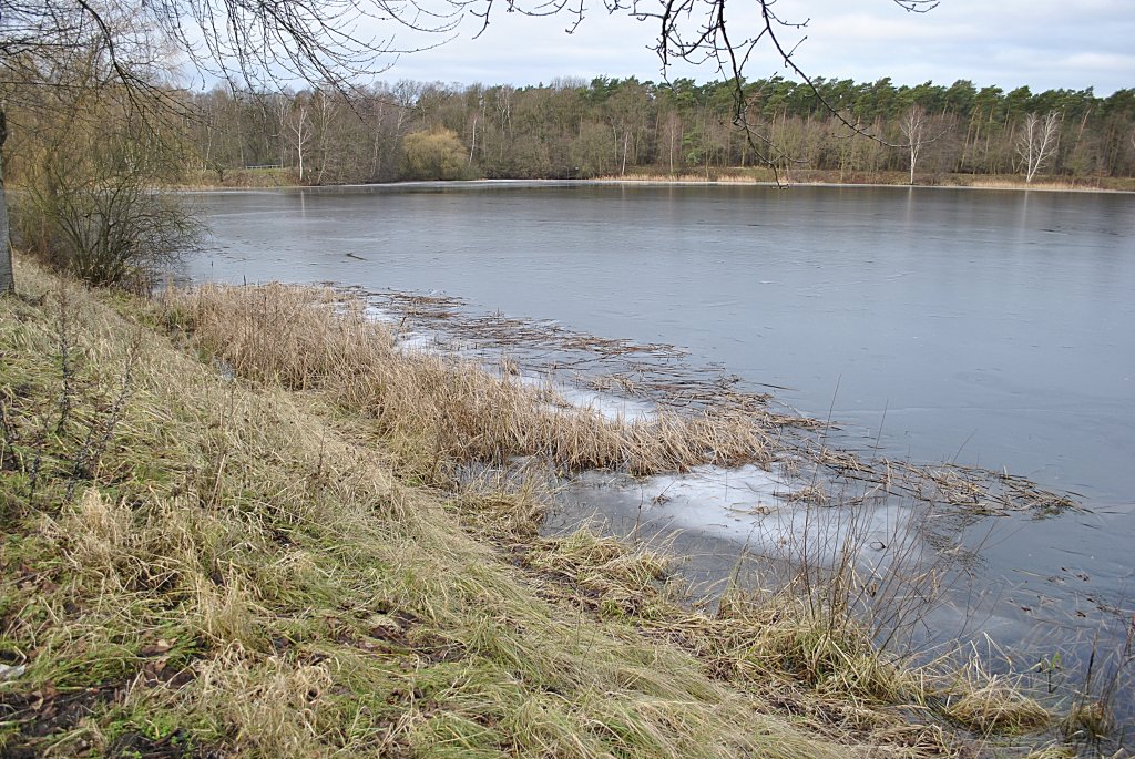 Der Blaue See,  in Lehrte ist am 16.01.10 noch mit einer dnnen Eisicht versehen.