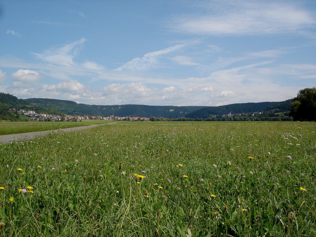 der Donauradweg fhrt durch das weite Donautal zwischen Tuttlingen und Mhlheim, Aug.2007
