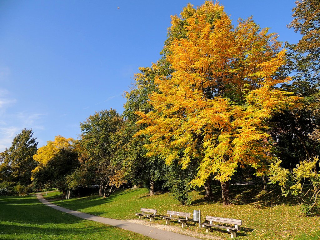 Der Herbst hlt Einzug, und bietet ein schnes Farbenspiel; 121002