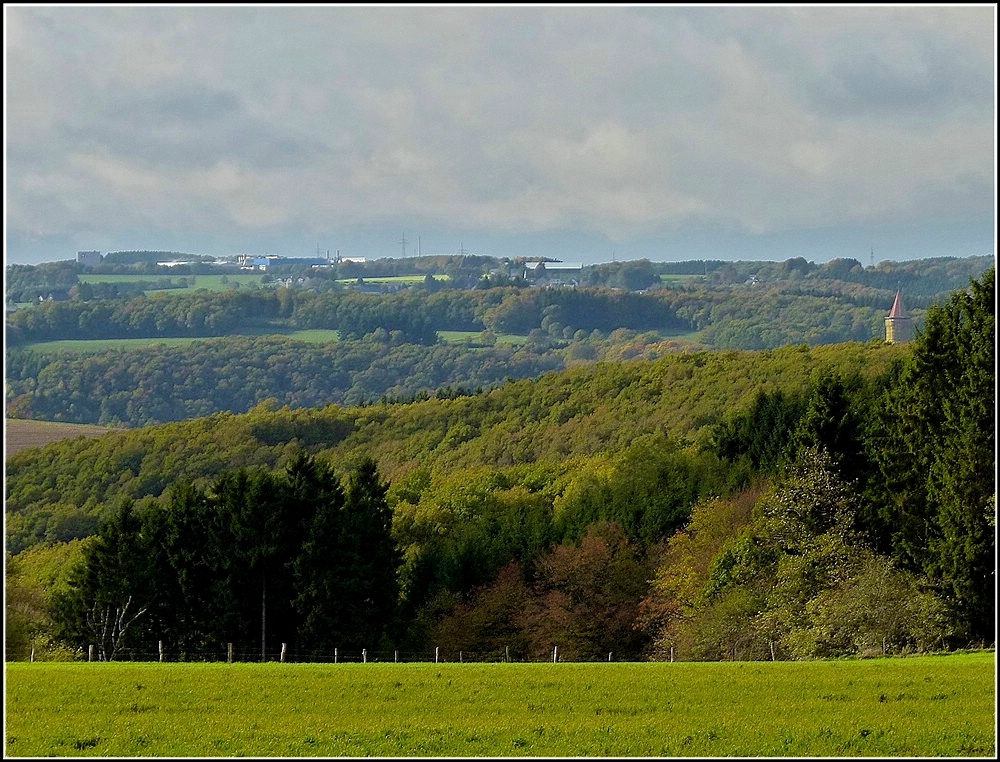 Der herbstlich gefrbte Wald im Norden von Luxembourg. 20.10.2010 (Jeanny)