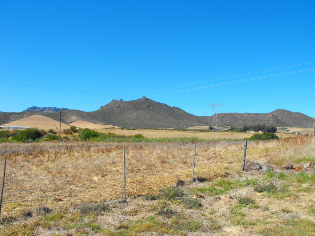 Der Kapteins Kloof, ein fruchtbares Tal hinter Piketberg an der Westkueste. Kapteins Kloof, 16.03.2010
