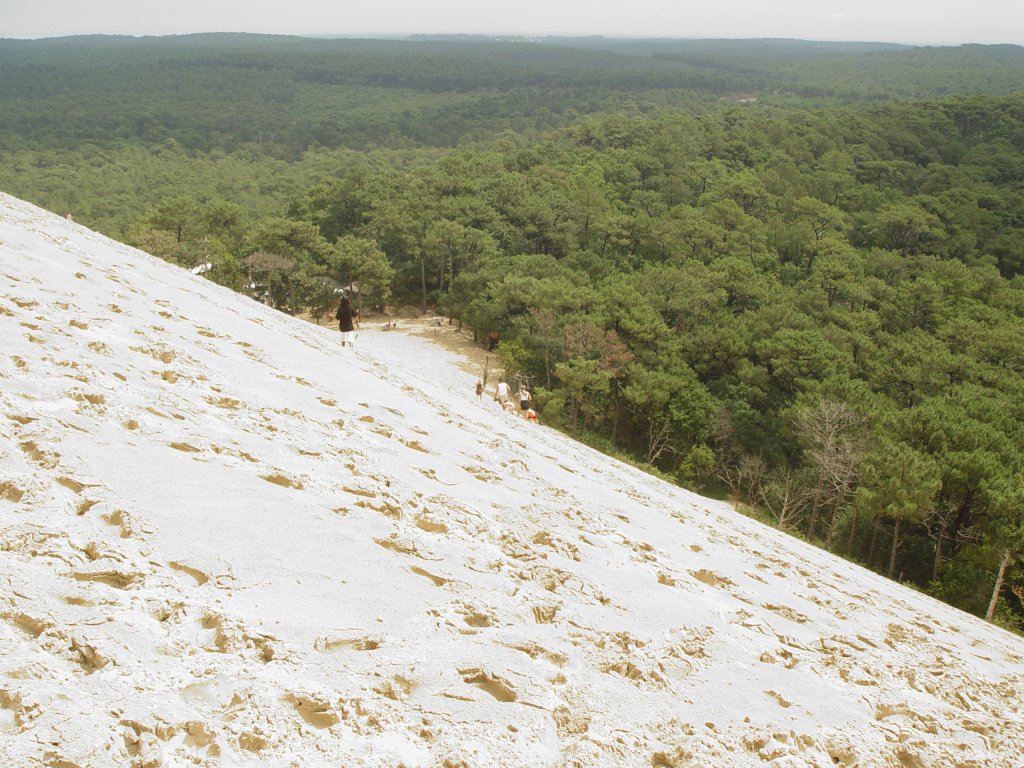 Der Kontrast zwischen der Sanddne von Pyla und dem dahinterliegenden Waldgebiet von Arcachon ist schon beeindruckend. (28.07.2008)