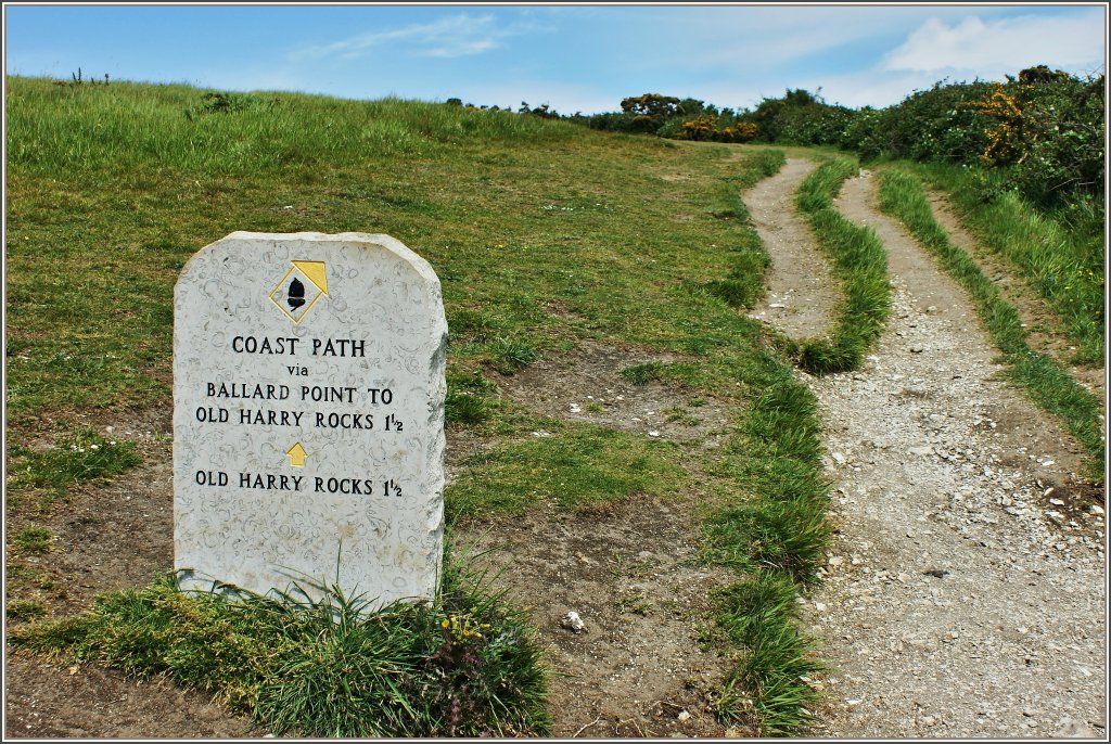 Der Kstenwanderweg zu den Old Harry Rocks ist gut ausgeschildert.
(16.05.2011)