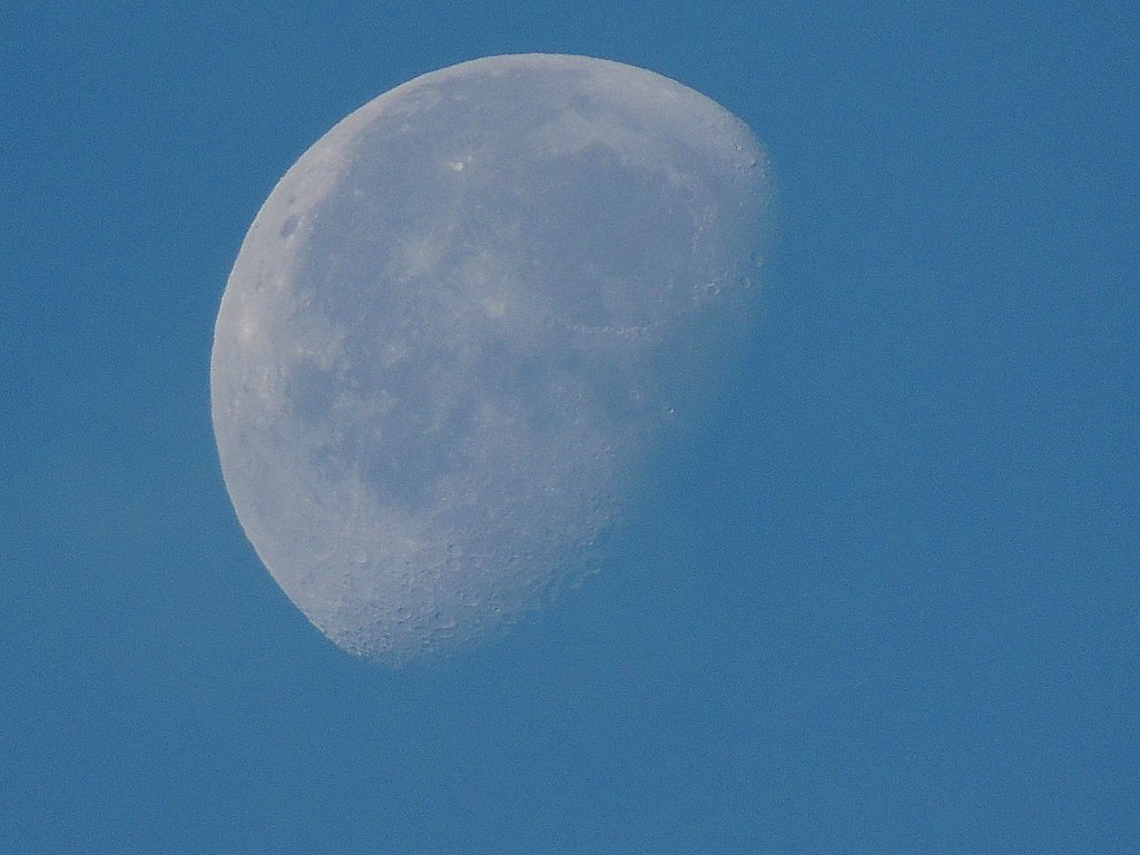 Der Mond will auch gegen 8:30MEZ noch nicht verschwinden; 121104