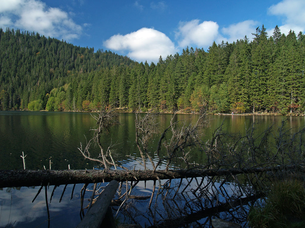 Der Schwarze See (Čern jezero) im Bhmerwald, grter Gletschersee dort, dessen Wasserspiegel 1006 Meter hoch liegt. Auf dem Gebirgskamm links im HG verluft schon die Grenze zu Bayern. Am 25.09.2009 konnte man dort brigens noch wohlschmeckende Heidelbeeren im Wald finden.....