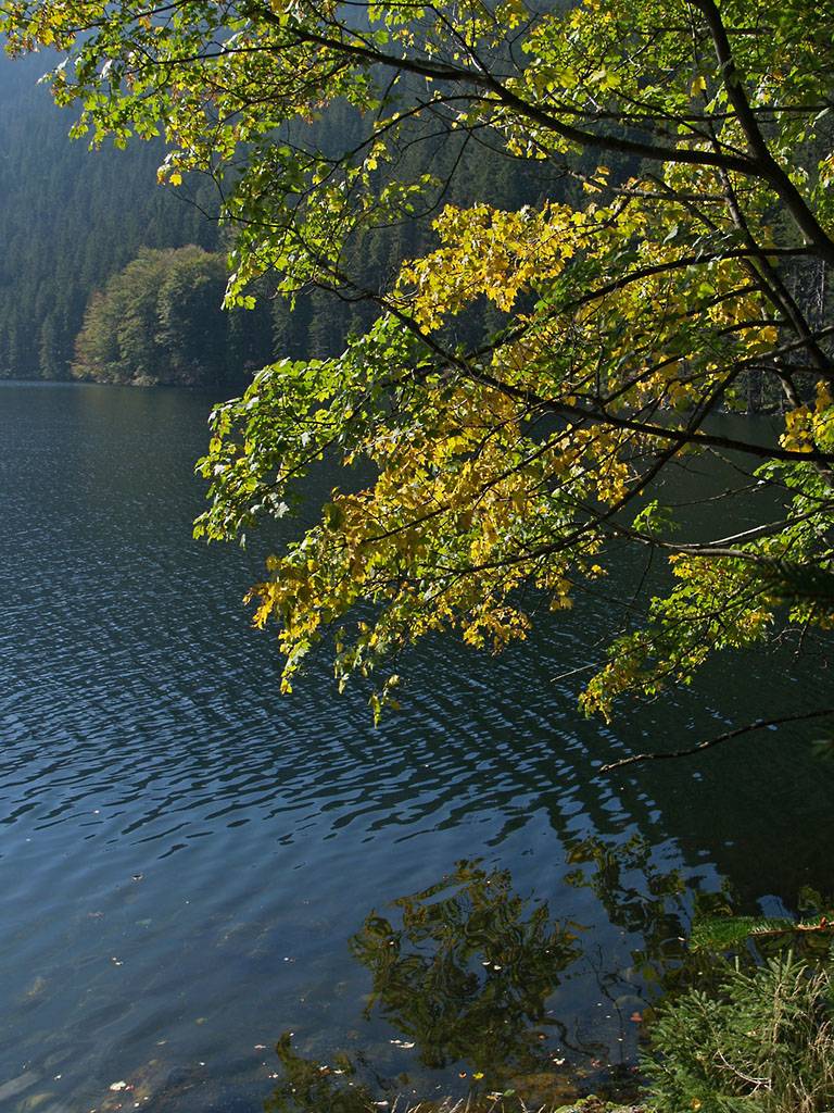 Der Schwarze See im Bhmerwald kann zu Fuss nicht auf begehbaren Wegen komplett umrundet werden, an dieser Stelle endet der Weg am sdlichen Teil. Vor 23 Jahren konnte man noch nicht mal bis dahin gehen, die unmittelbare Nhe der Staatsgrenze zu Deutschland sollte niemand auf  falsche  Gedanken bringen. An diesem 25.09.2009 findet man nur noch ein paar Reste der Bauwerke, in denen die Grenzer ihren Dienst tun muten.  