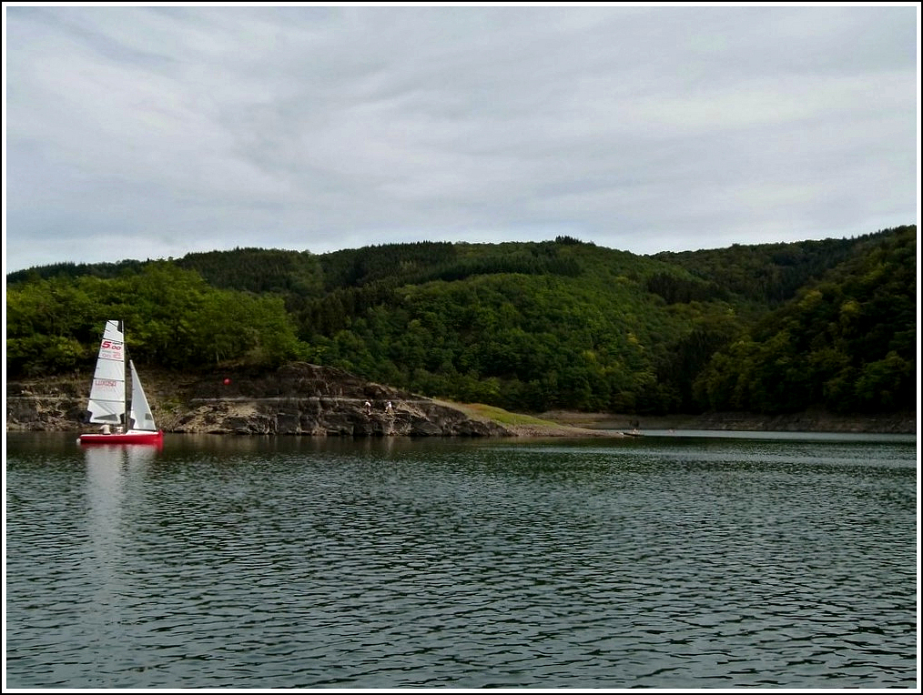 Der Stausee der Obersauer in der Nhe von Insenborn. 10.09.2011 (Jeanny)