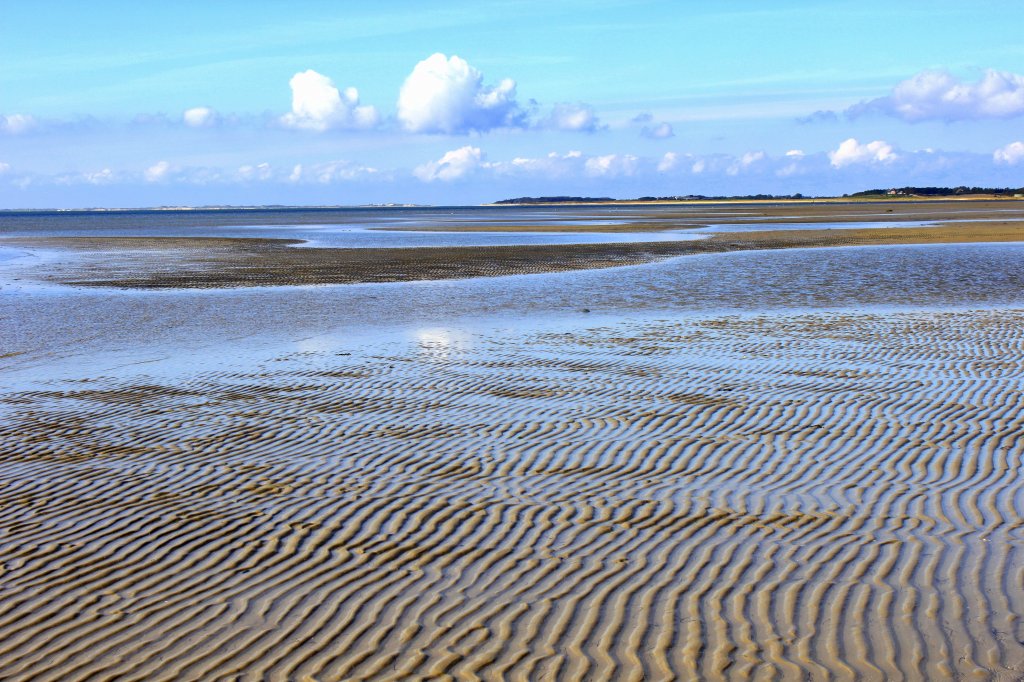 Der Strand von Goting auf Fhr bei Ebbe am 16.09.2009