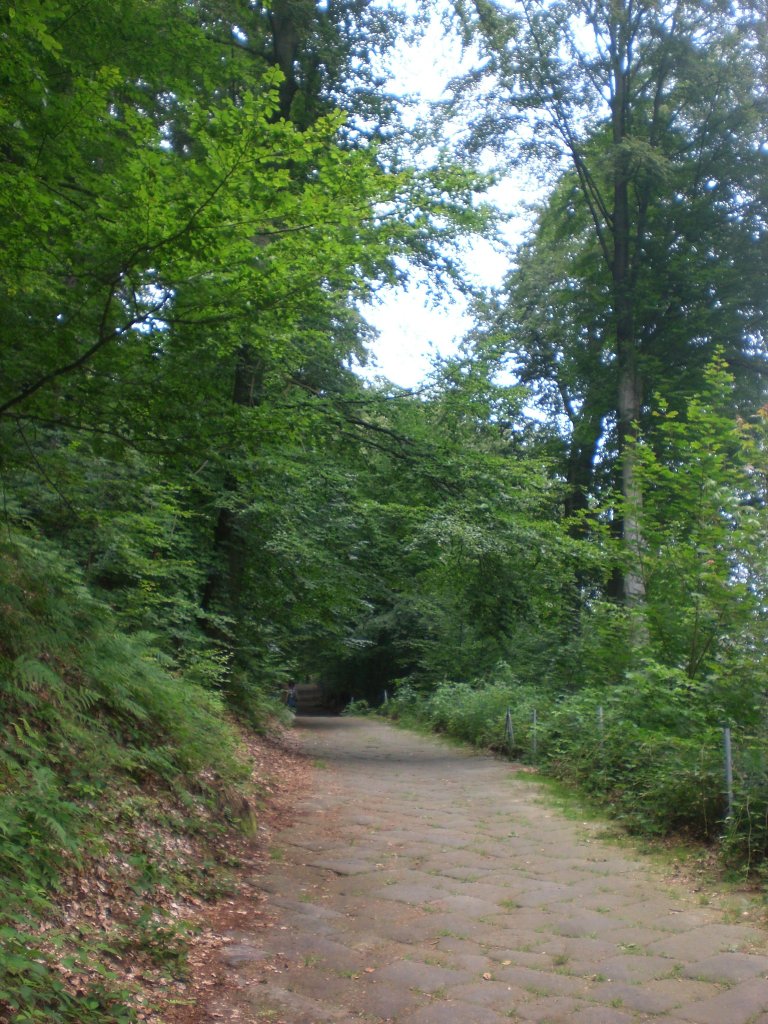 Der Weg Alte Festungsstrae in Knigsstein in der schsischen Schweiz.(24.7.2011)