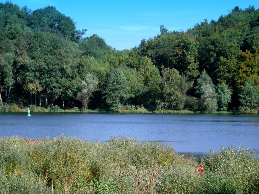 Deutschland, Landkreis Vulkaneifel in Rheinland-Pfalz, Holzmaar bei Gillenfeld, 15.09.2010