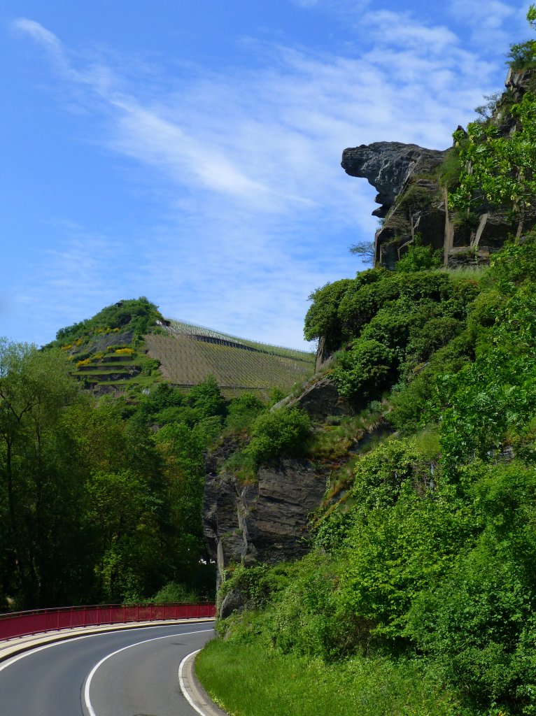 Deutschland,Rheinlandpfalz, Landkreis Ahrweiler, Felsen und Weinberge bei Walporzheim (Stadtteil von Bad Neuenahr-Ahrweiler), 27.05.2013