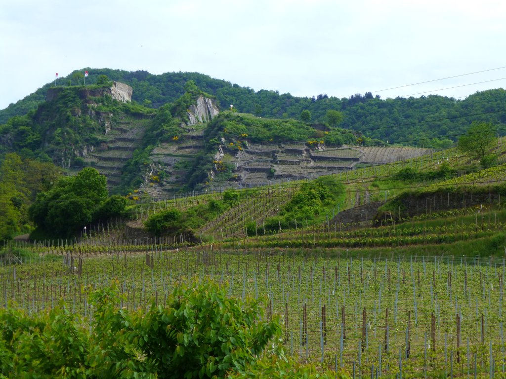 Deutschland,Rheinlandpfalz, Landkreis Ahrweiler, Verbandsgemeinde Altenahr, Weinberge bei Mayschoss, Saffenburg vom Westen aus gesehen, 27.05.2013