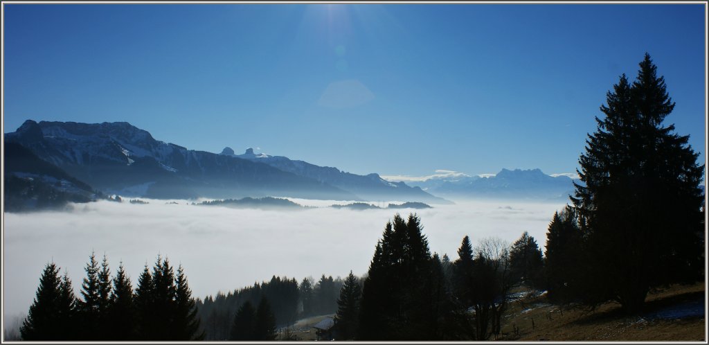 Dichter Nebel im Tal, strahlender Sonnenschein in der Hhe. 
(31.01.2011)
