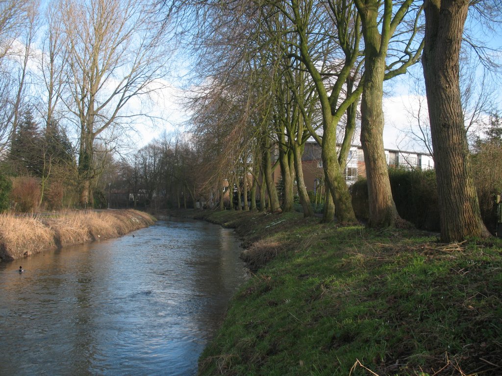 Die Berkel in der Stadt Coesfeld. Aufgenommen am 16.02.2011