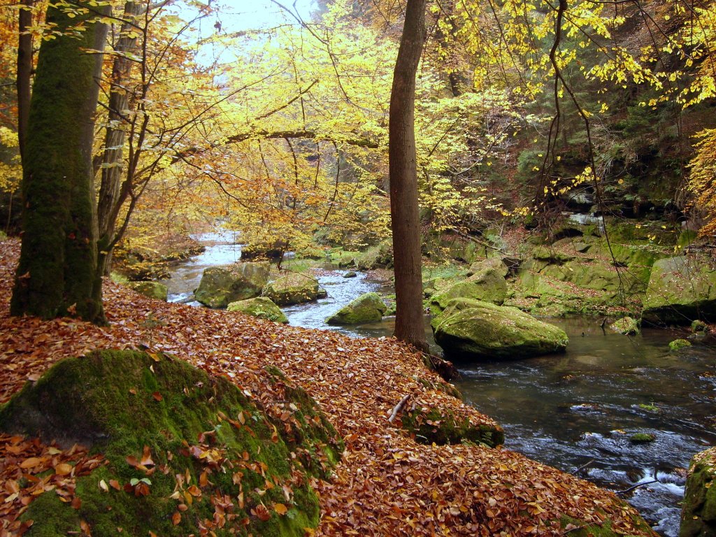 Die Bhmische Schweiz , Wildromantik im Klamm , in der Nhe von Hrensko am 22.10.2012