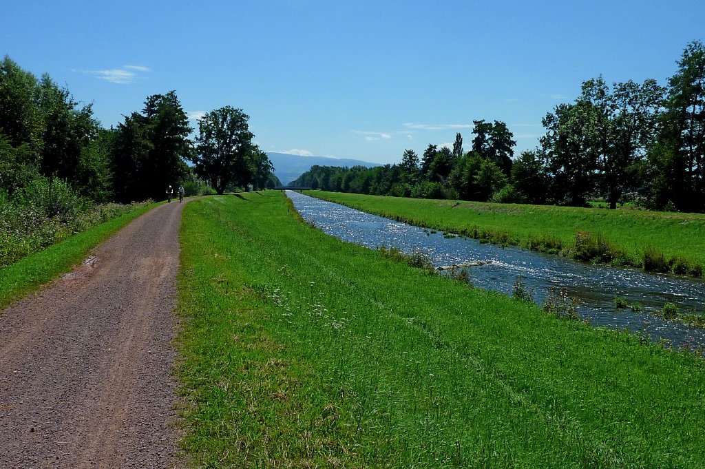 die Dreisam bei Freiburg, auf dem Hochwasserdamm kann man gut radeln und spazieren gehen, Aug.2011