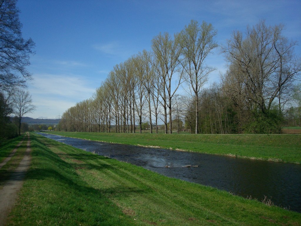 die Dreisam durchfliet die Rheinebene, im Mrz 2011 