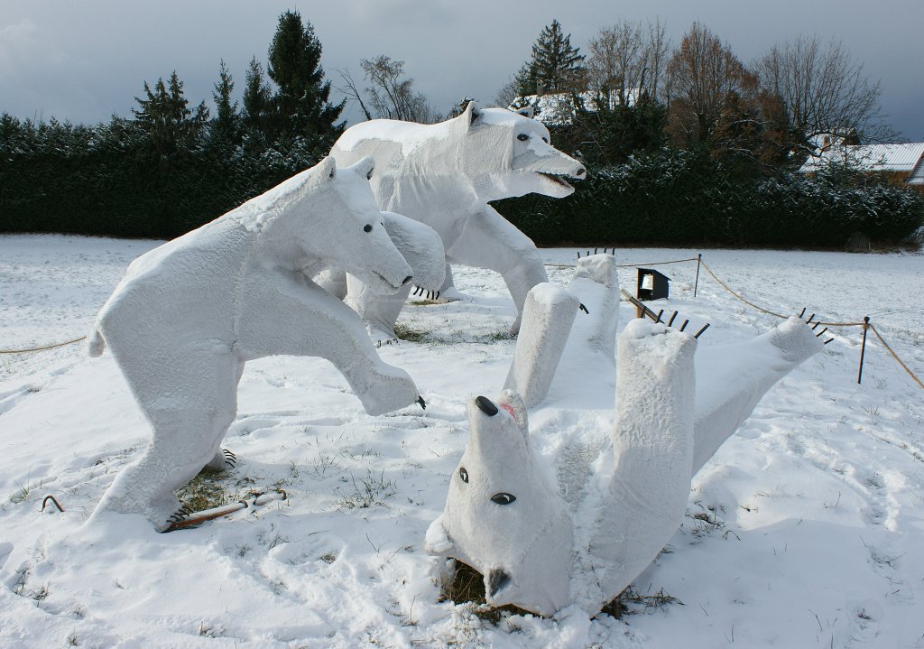 Die Eisbrfamilie geniesst den Schnee und die Kleinen toben sich spielend aus.
(Dezember 2009)