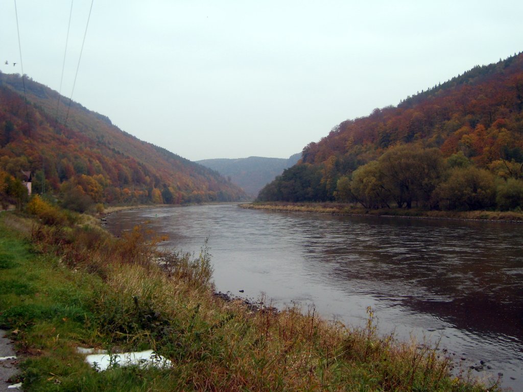 Die Elbe , im Naturpark Bhmische Schweiz zwischen Decin und Dolni Zleb , am 22.10.2012