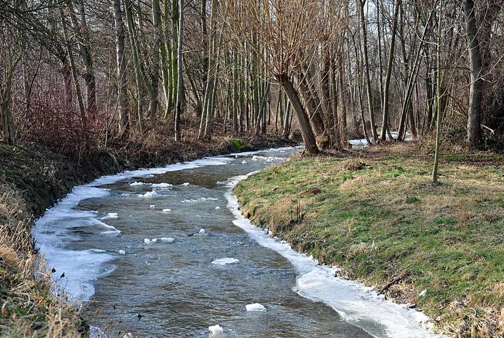 Die Erft bei Eu-Roitzheim mit leichtem Eisansatz, aber trotzdem nicht  beschiffbar  - 07.02.2012